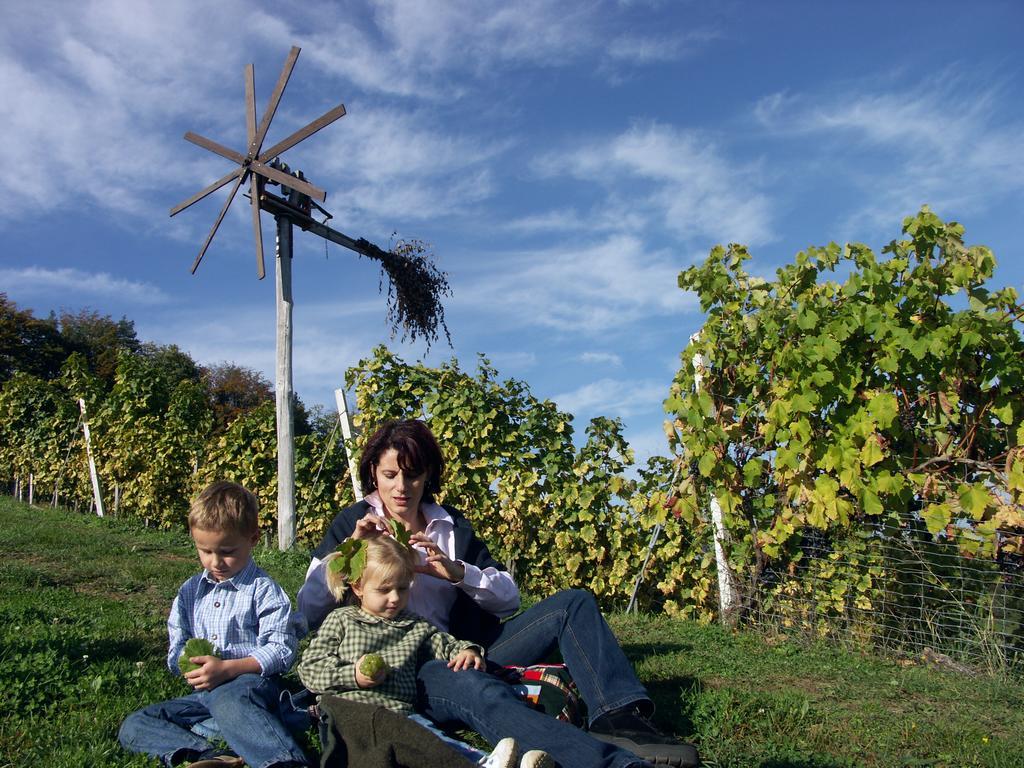 Weingut-Gaestehaus Birnstingl Gamlitz Exteriör bild